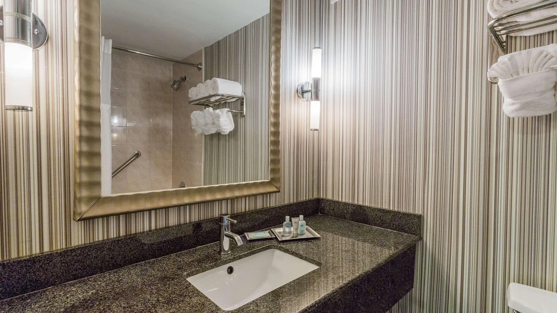Wyndham Garden Norfolk Downtown Hotel 3*,  United States