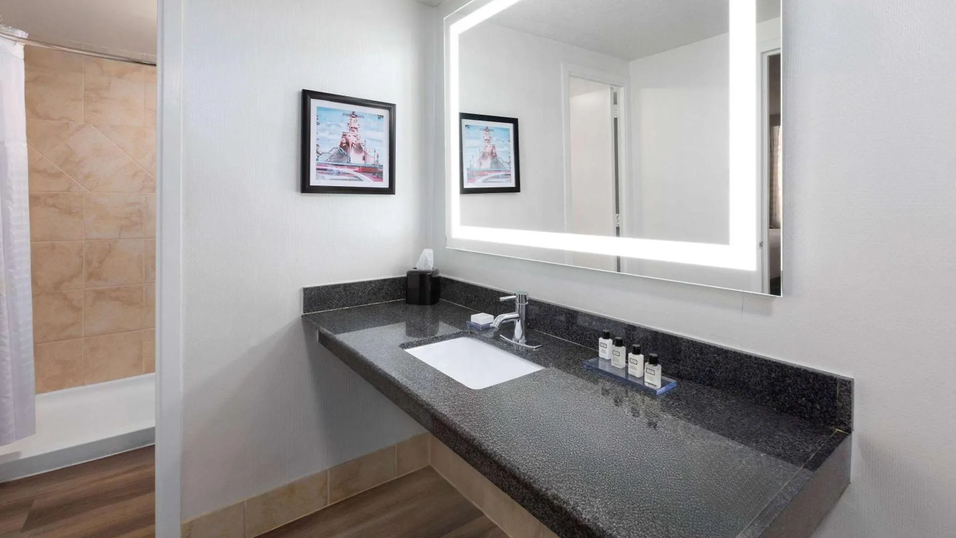 Wyndham Garden Norfolk Downtown Hotel United States