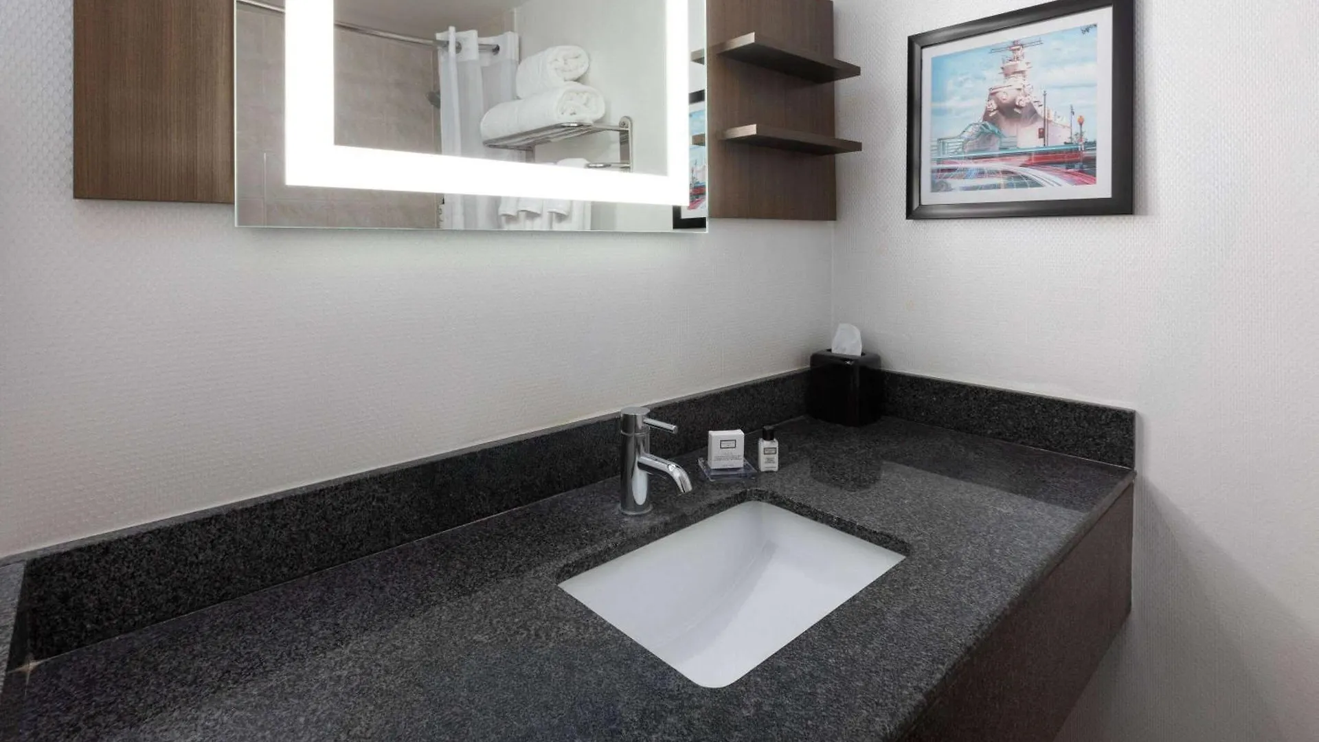 Wyndham Garden Norfolk Downtown Hotel 3*,