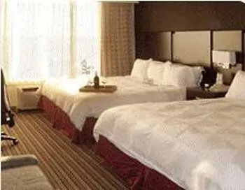 Wyndham Garden Norfolk Downtown Hotel